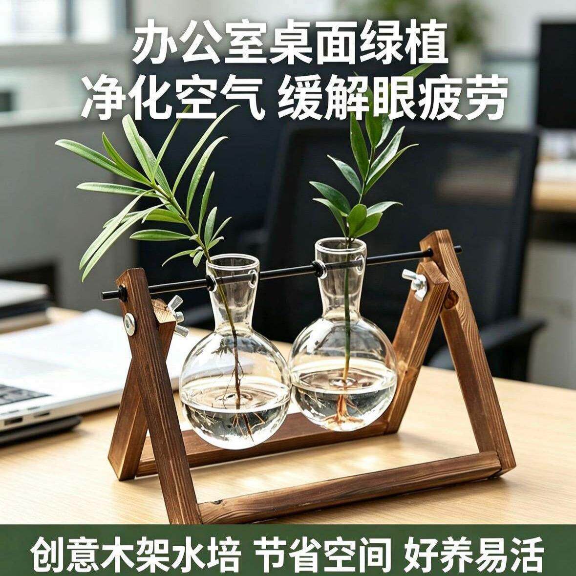 桌面小型水培植物创意木架绿萝花瓶办公装饰物玻璃花器客厅摆件