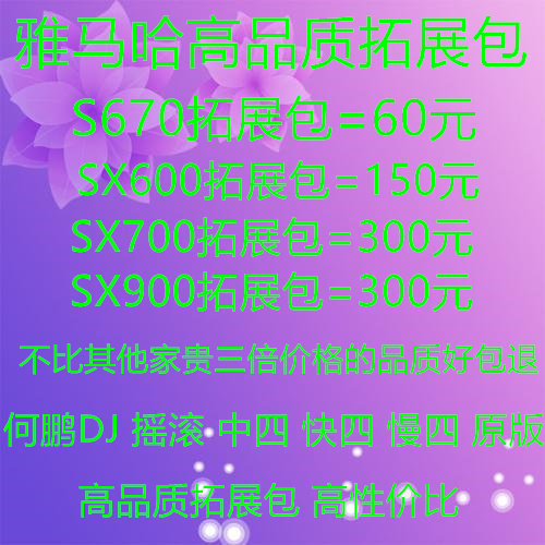 雅马哈电子琴S670 SX600 SX700 SX900拓展包 音色包节奏包  包退 - 封面
