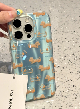 可爱细闪蓝流星纹线条腊肠狗适用iphone16prom苹果15手机保护壳14 · 苹果13 单壳