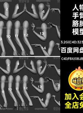 16款手部姿势blender女生手臂胳膊3D模型c4d素材fbx无材质obj白模