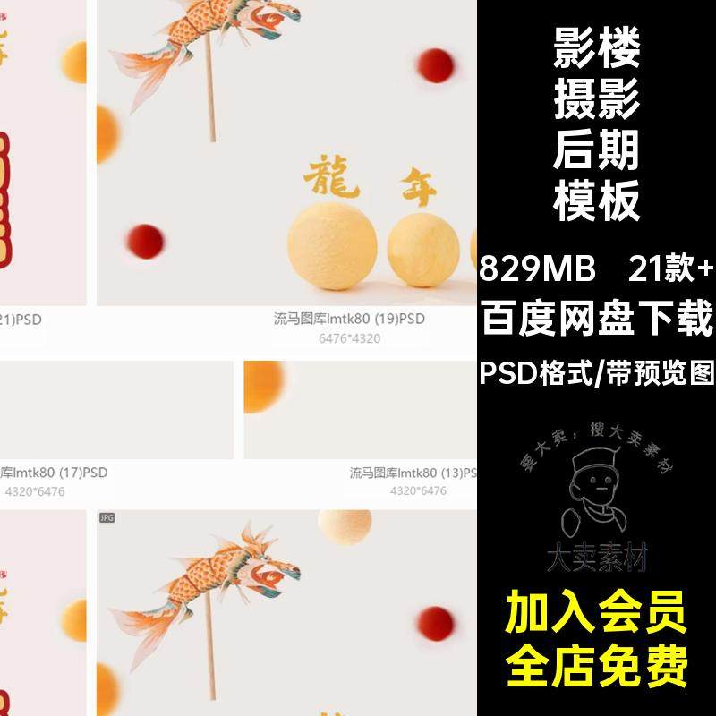 21款 影楼摄影后期模板素材写真照片创意相册主题PSD格式龙年简约