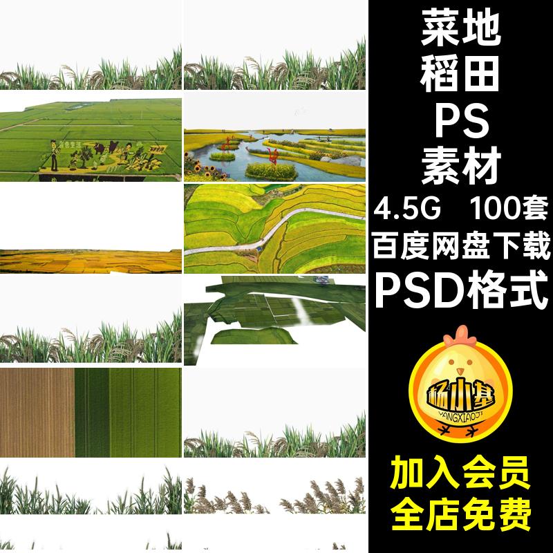 菜地稻田PSD素材100套抠美丽ps效果图乡村田园景观鸟瞰农田平面