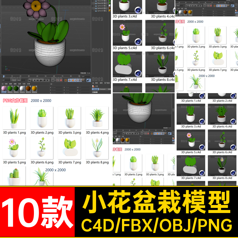 卡通可爱植物芦荟小花3d绿植花卉盆栽C4D模型OBJ素材FBX无贴图png
