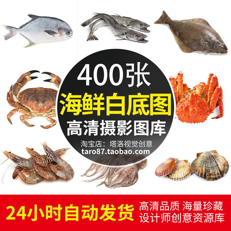 高清jpg素材生猛海鲜白底图片鱼虾蟹贝螺鱿章鱼参产品宣传海报照