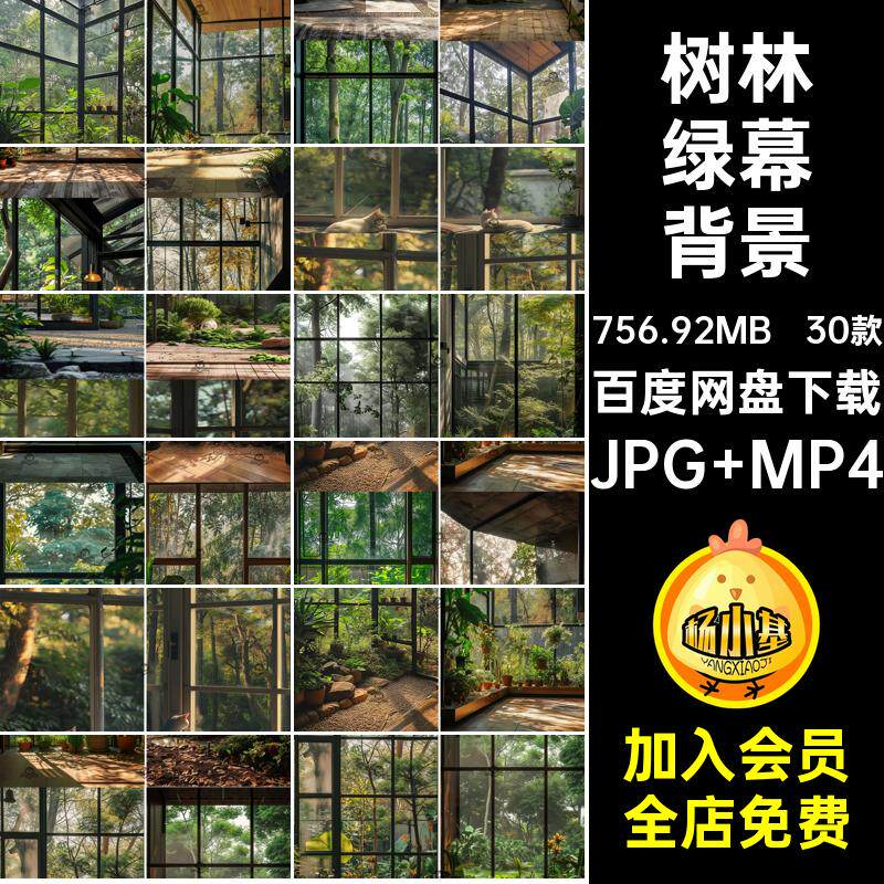 直播间绿幕背景JPG MP4植物动态jpg30款绿植竖窗外素材室内屏mp4