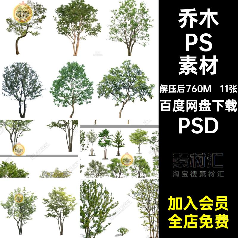 丛生PSD素材立面景效果图乌桕树植物独psd朴树11张后期乔木园林