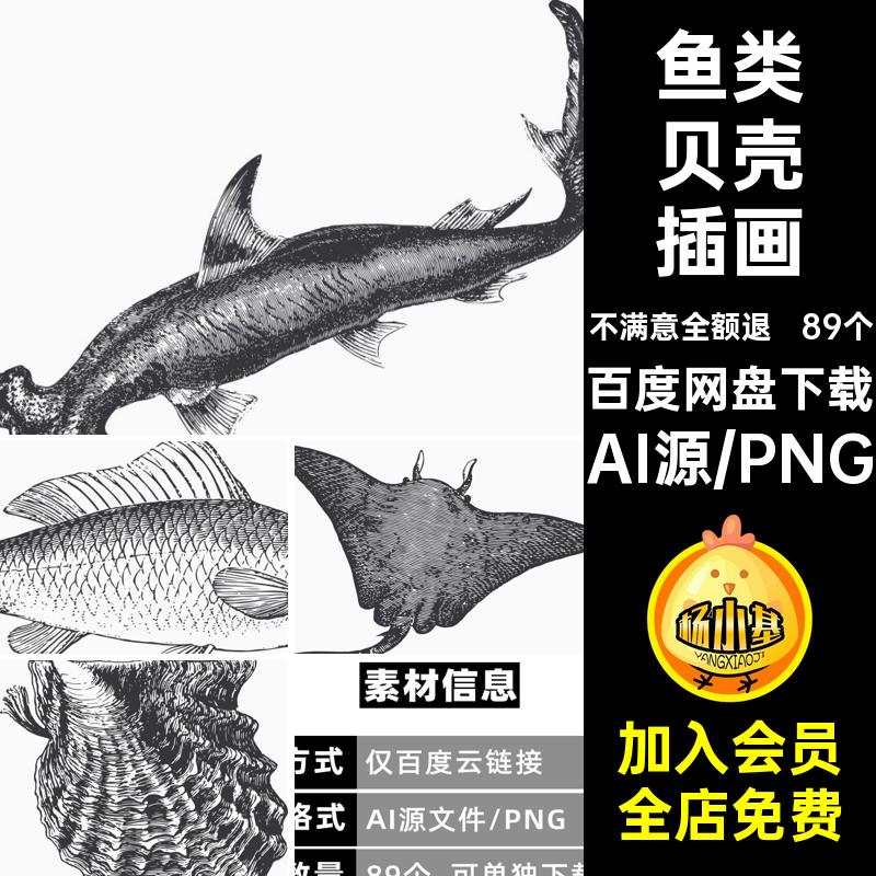 89个黑白海洋生物矢量动物手绘素描鱼类图复古贝壳图案插画贝壳