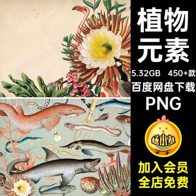 450 款昆虫元素拼贴图片素材抠鸟类花卉动物潮流艺术剪报免PNG