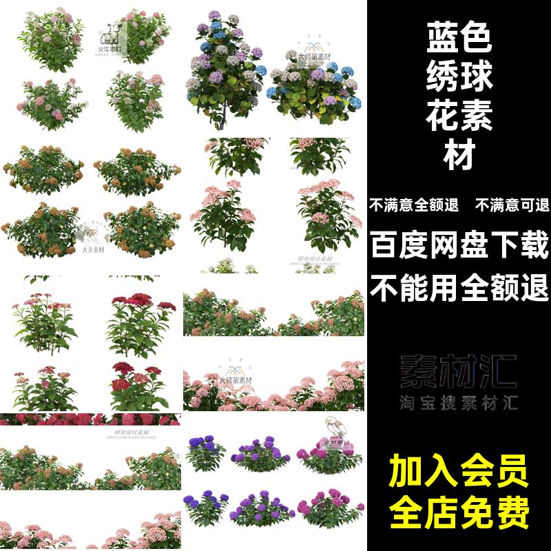 重瓣绣球花素材花境蓝色景观PSD花卉后期玫红植物配置高清效果图