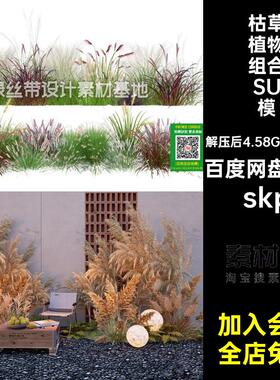 麦穗植物组合SU模型陈狼尾草大师露营干草skp造景枯草14套芦苇