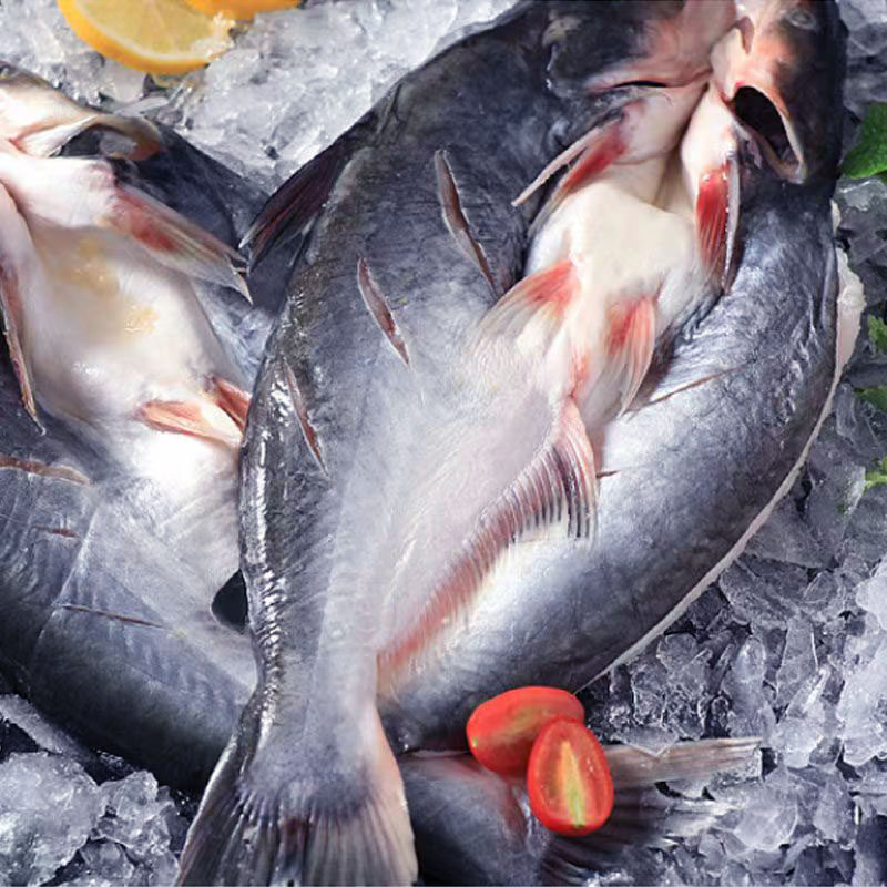 大号开背巴沙鱼600-700克/条*3条