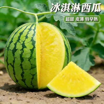 绿皮黄瓤冰淇淋西瓜种子种籽超甜薄皮黄心南方四季水果孑肉种植