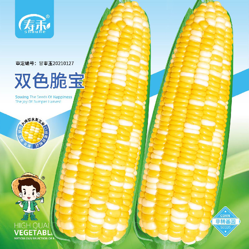 双色脆宝玉米种子早熟超甜水果玉米种子苗特大高产种籽孑子四季甜