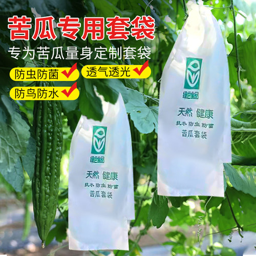 苦瓜套袋丝瓜专用纸袋苦瓜套袋丝