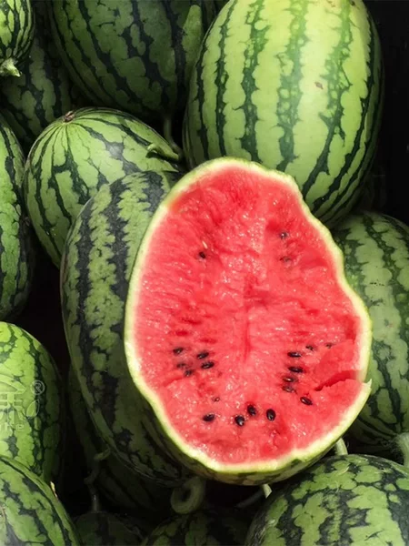 Товары от 寿禾园艺旗舰店