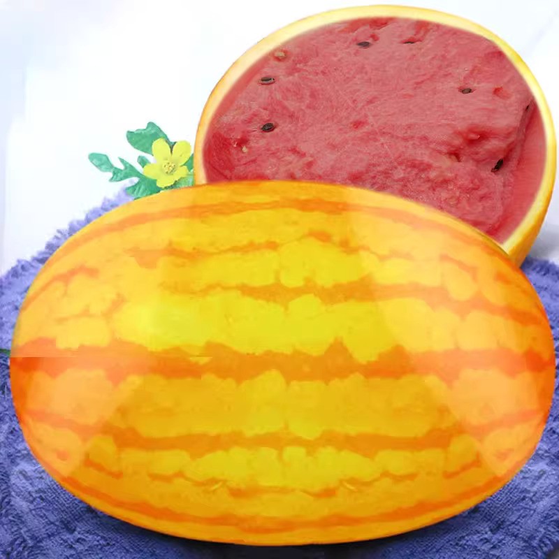 安生西瓜种子黄皮春季南方水果
