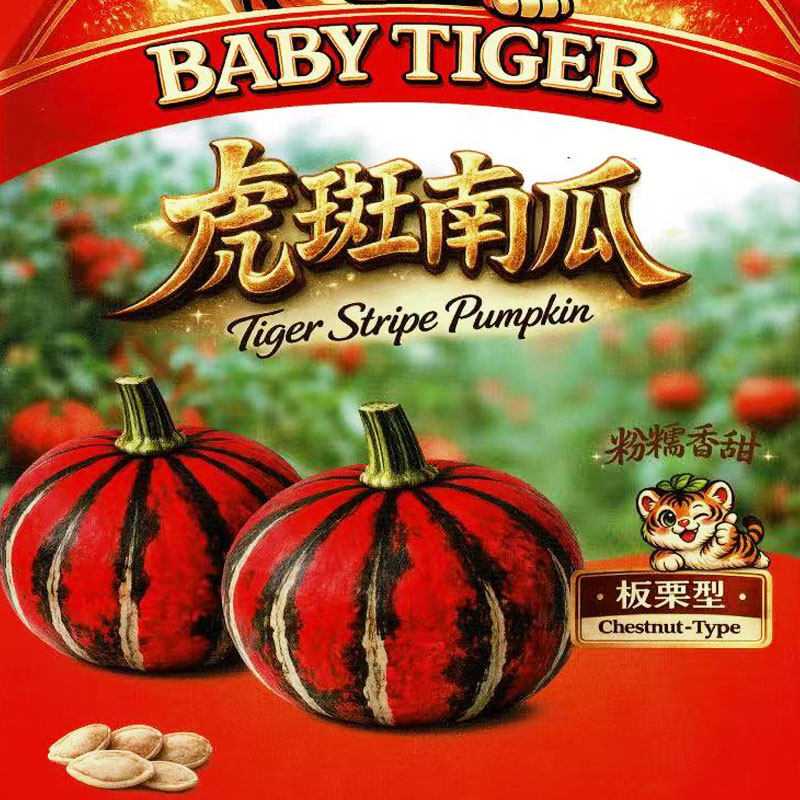 虎斑贝贝南瓜种子高产红绿香甜板栗小蔬菜阳台盆栽庭院种籽孑瓜类