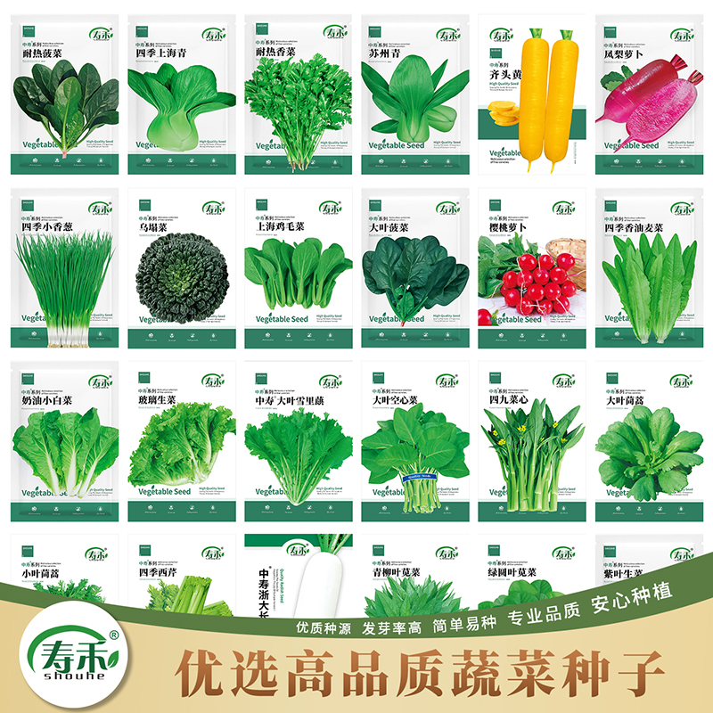 种子青菜大全四季适合夏天