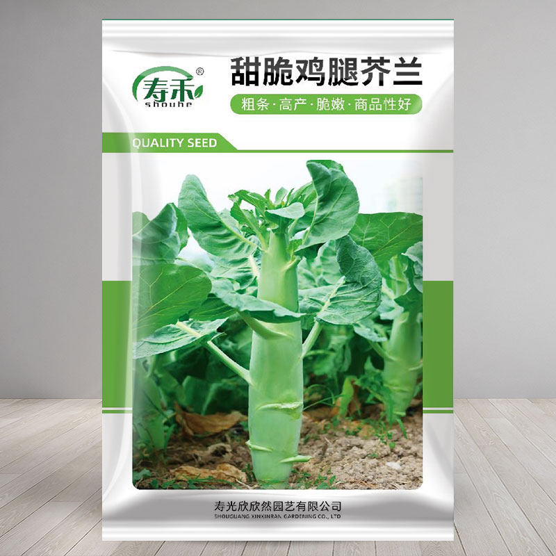 甜脆鸡腿芥蓝种子粗条籽芥兰广东四季菜籽大菜秋季种籽孑菜种 - 实物图