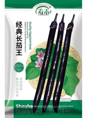 经典长茄王茄子种子种籽苗秧黑紫色特长超长茄特大蔬菜四季孑秧苗