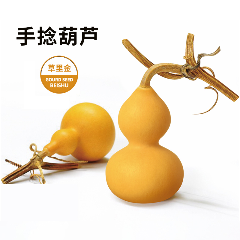 葫芦种子全苗盆栽巨型食用文玩