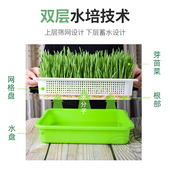 芽苗菜育苗盘阳台蔬菜四季 水培种植盘菜托盘豆芽菜家用设备工具架
