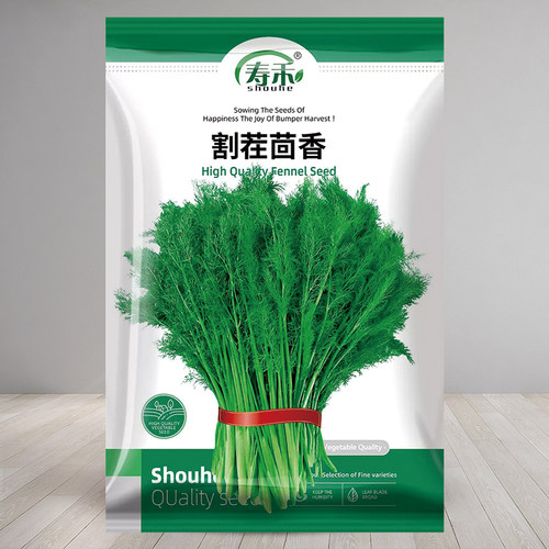 割茬茴香种子种籽苗四季