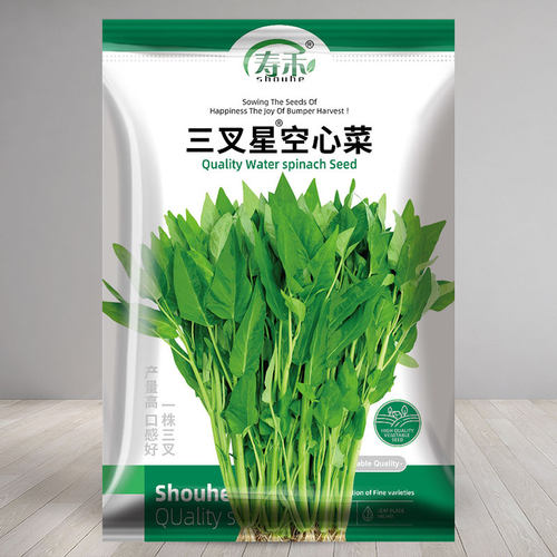 三叉星空心菜种子四季菜苗