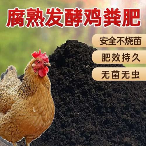 种菜鸡粪肥有机家庭阳台