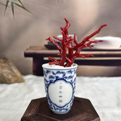 天然科西卡珊瑚树摆件21.4克原色有机宝石阿卡沙丁黑牛血科西嘉速