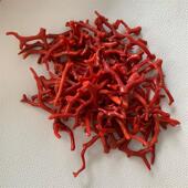 天然红珊瑚树枝杈摆件100克原色有机宝石阿卡沙丁深海红科西嘉速