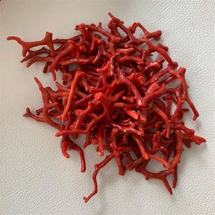天然红珊瑚树枝杈摆件100克原色有机宝石阿卡沙丁深海红科西嘉速