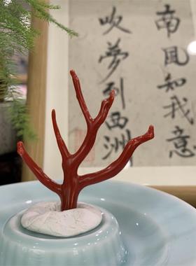 天然深牛血红珊瑚枝叉树摆件63.3X56.3mm阿卡沙丁深海红科西嘉颂