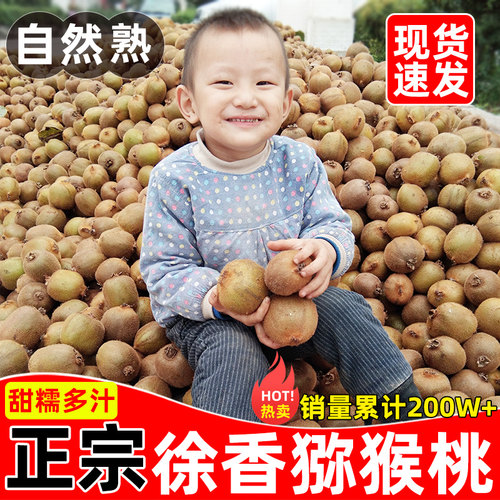 热卖200万+徐香猕猴桃•假一罚十