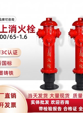 地上式消火栓/地上栓/室外消火/防撞室外消防栓SS100/65-1.6天广