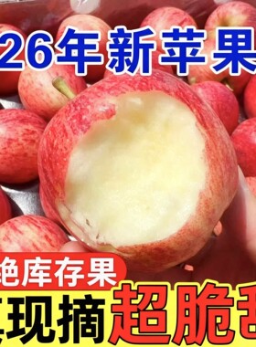 大凉山盐源当季新鲜水果礼盒装新西兰嘎啦苹果十斤送礼装包邮