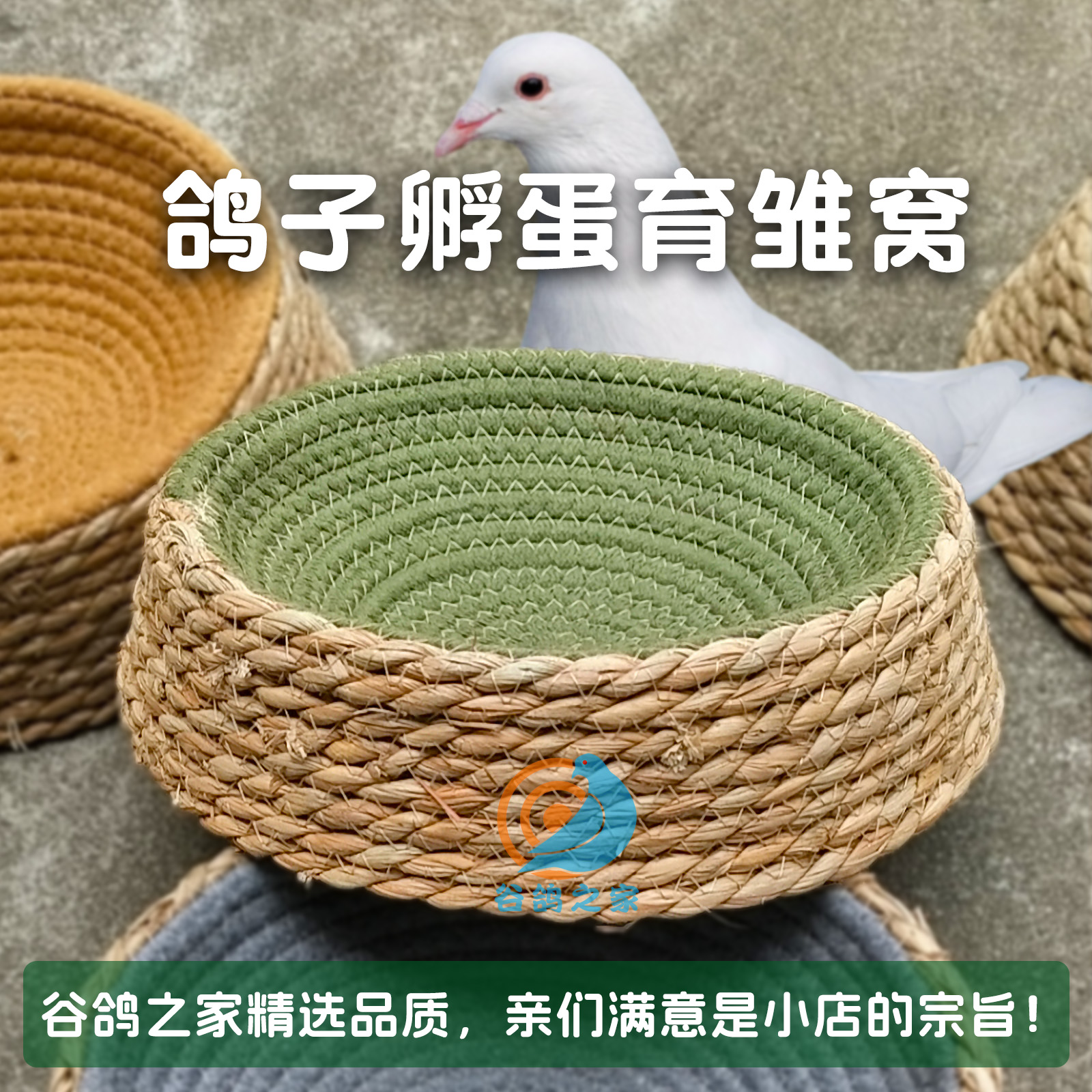 谷鸽之家鸽子窝孵蛋专用窝繁殖窝