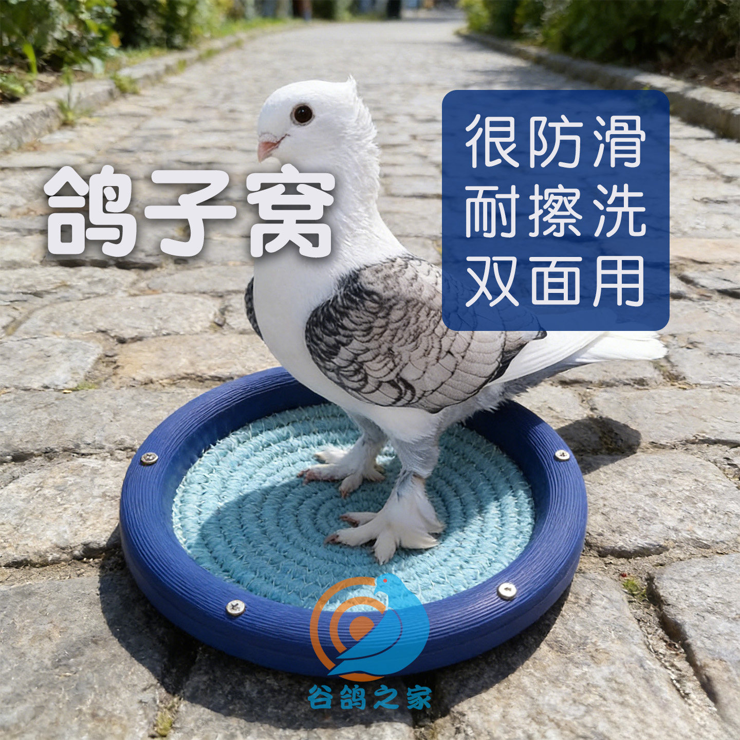 塑料鸽子窝孵蛋专用信鸽孵化巢窝鸽窝垫四季通用斑鸠窝鸟窝鹦鹉窝,宠物/宠物食品及用品,鸟窝,淘宝优惠券,粉丝福利购,淘宝优惠卷