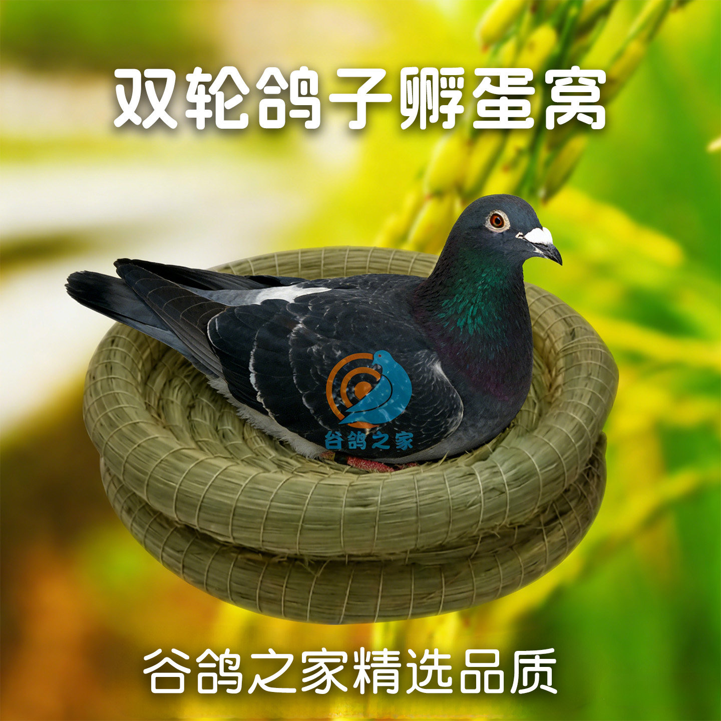 双轮稻草窝鸽子窝孵蛋专用草窝鸽用孵化窝斑鸠繁殖窝鸟窝鸟巢鸽窝