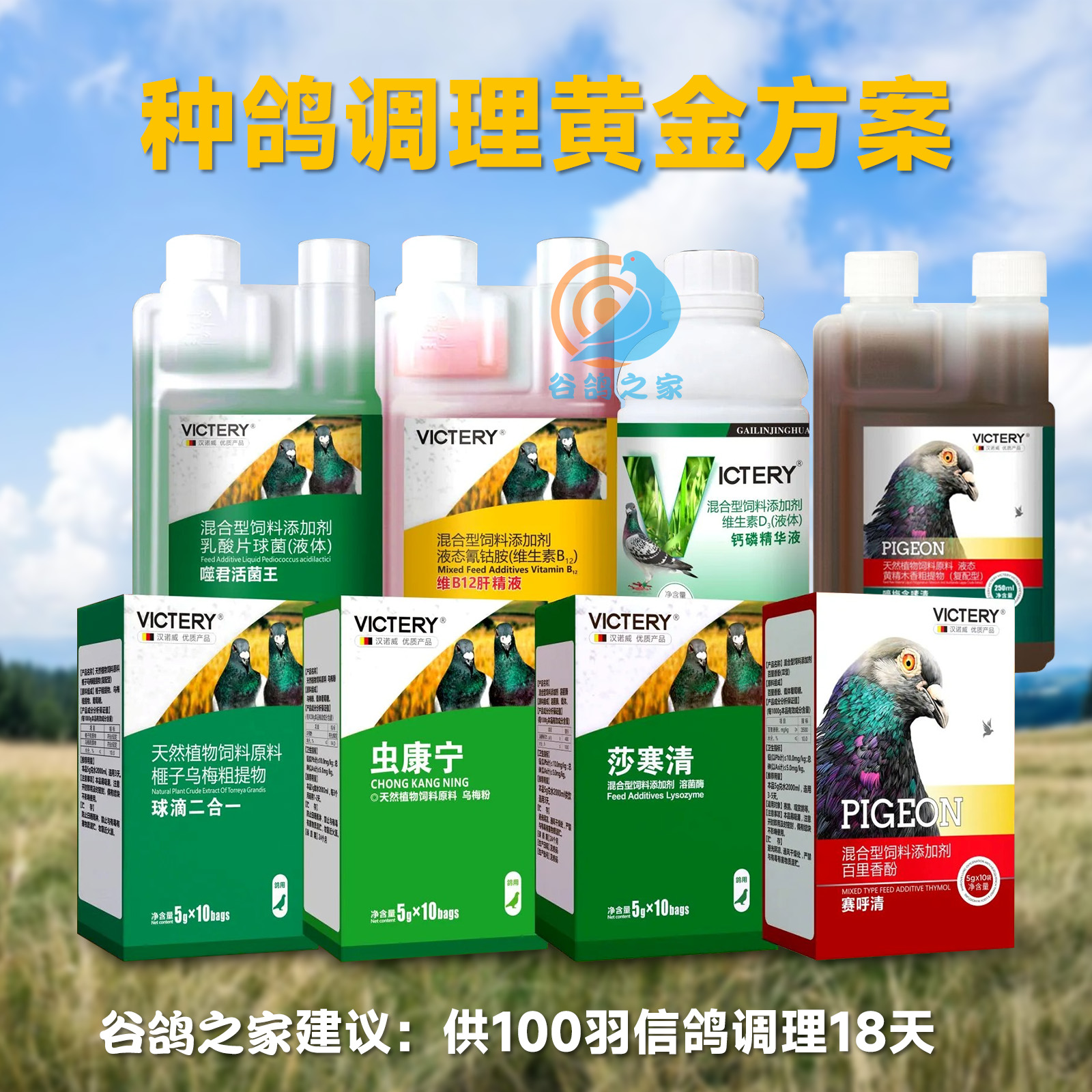 汉诺威种鸽调理套餐鸽用保健品