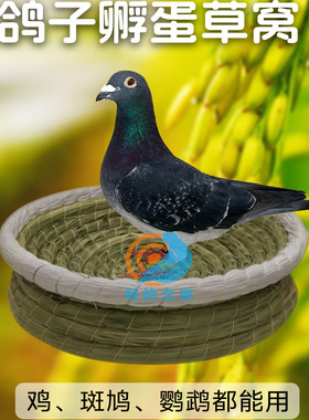 油草鸽子窝孵蛋专用草窝信鸽元宝鸽子巢窝阳台斑鸠繁殖窝鸡窝鸟窝