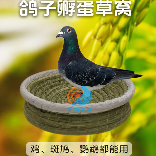 油草鸽子窝孵蛋专用草窝信鸽元宝鸽子巢窝阳台斑鸠繁殖窝鸡窝鸟窝 - 封面