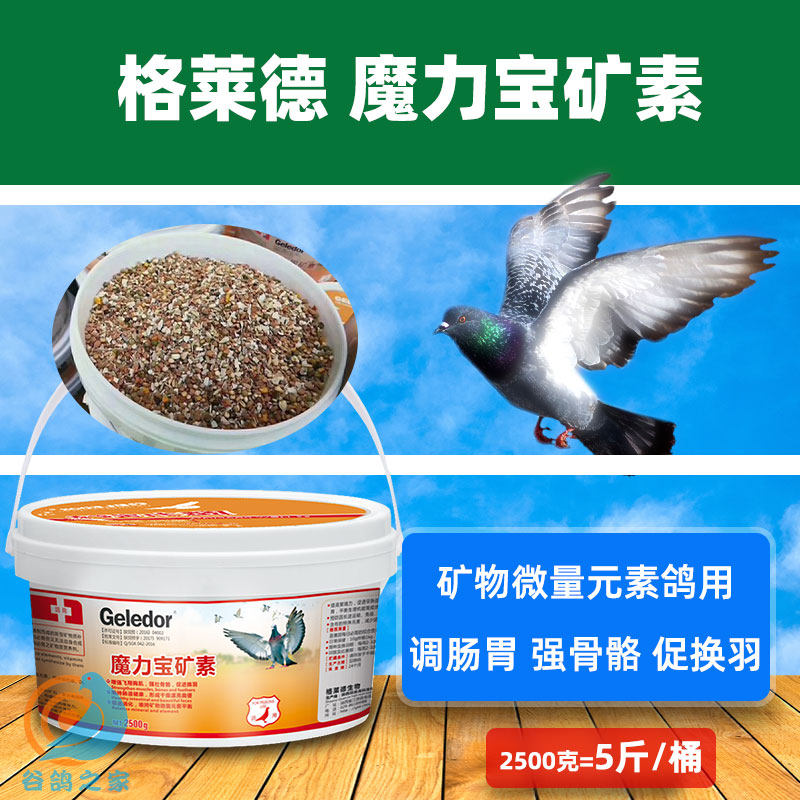 格莱德魔力宝矿素赛鸽信鸽鸟鹦鹉保健砂鸽子保健沙营养土鸽用补钙,宠物/宠物食品及用品,鸟禽保健品,淘宝优惠券,粉丝福利购,淘宝优惠卷