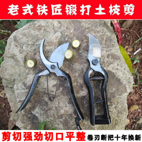 黑金刚古董剪刀老式铁匠锻打辽宁望儿山修枝剪果树剪花锻打园艺剪