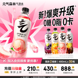 气森林0糖0脂0卡气泡水多口味480mL 元 30瓶 30瓶囤货装