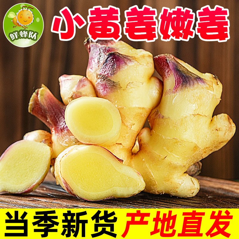 鲜蜂队2025云南小黄姜今年新姜嫩姜带泥土发货生姜姜块仔姜