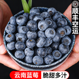 【顺丰空运】鲜蜂队云南高山蓝莓新鲜鲜果蓝莓品质大果4盒
