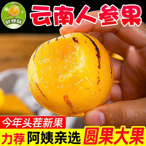 云南人参果鲜蜂队圆果