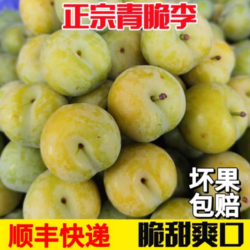 青脆脱骨李重庆顺丰空运李子新鲜