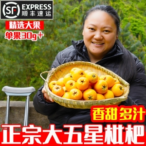 现货正宗大五星大枇杷新鲜3-5斤